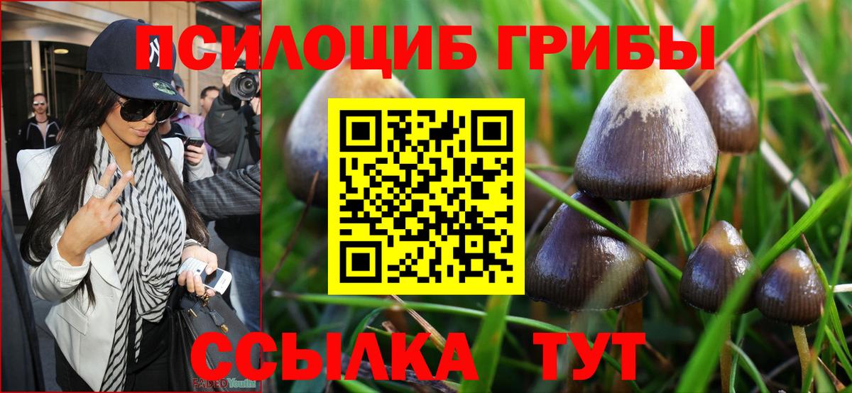 Галлюциногенные грибы мицелий Владимир
